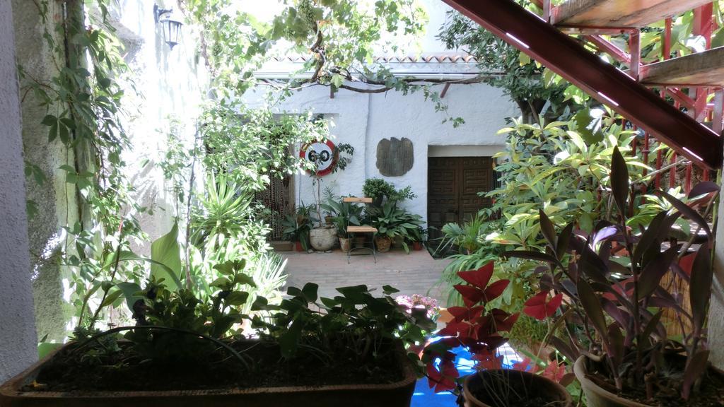 Al Sil Ram Apartment อัลฟาการ์ ห้อง รูปภาพ